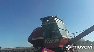 Уборка соняшника.