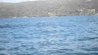 DSC 0014