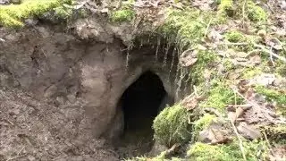 Huge Beaver Hole Tunnel
