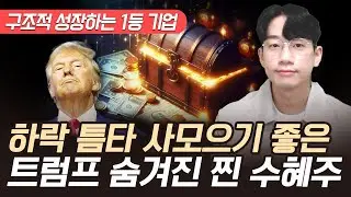 증시 하락 틈타 남들 몰래 싸게 사모으면 좋은 종목 트럼프 수혜주 (트럼프 주식, 트럼프 관련주)