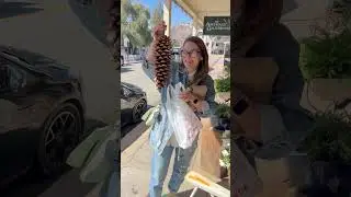 Осталось узнать, что за она.