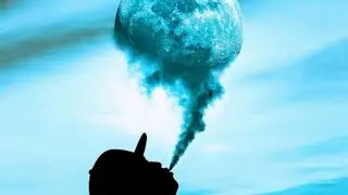 Поёт у меня в гостях|шок😝😝😝