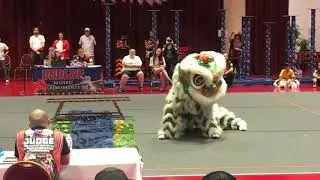 USDLDF 2nd Lion Dance Competition 2019 - LQ Lion Dance Team