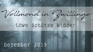 LÖWE | SCHÜTZE | WIDDER | 