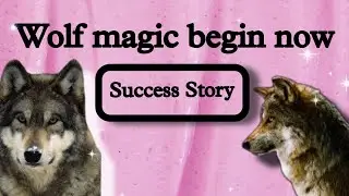WOLF-MAGIC-BEGIN-NOW SUCCESS STORY #wolfmagicbeginnow (For urgent help and financial matters)