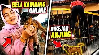 INI KURIR APA PESERTA UJI NYALI? MOMEN NGAKAK KURIR NGANTERIN PAKET PART.1