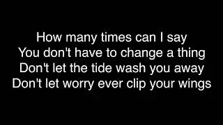 Passenger - The Way That I Love You (Lyrics)