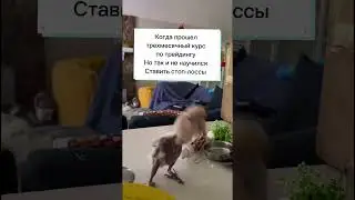 МАКСИМАЛЬНЫЙ ЭНТУЗИАЗМ 