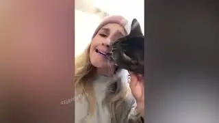 СМЕХ приколы людей и животных 11