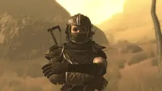 Fallout Dust. Не бесполезные спутники
