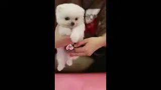 cleaning time :) everybody safety !