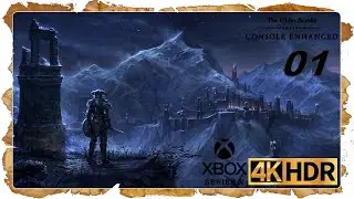 ESO Blackwood 4K HDR 60FPS | Xbox Series X Gameplay Walkthrough - Holllow City Part 1