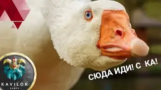 Atomic Heart | (НЕ) ГОНЯЕМ ГУСЯ | Стрим прохождение #2 (18+)
