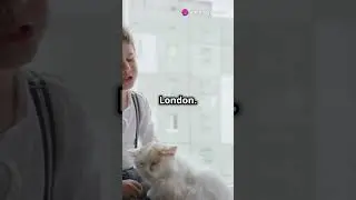 The Legend of Dick Whittington and His Cat