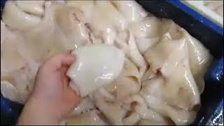 Чистка кальмара – очистка и бланшировка