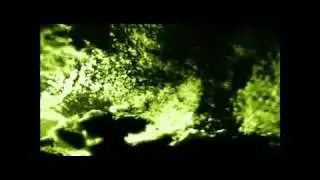 ANONYMOUS (new message) SUNDAY BLOODY SUNDAY.flv