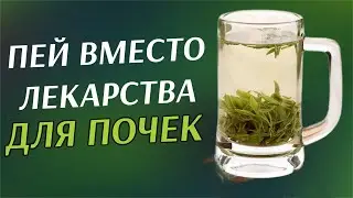 ХОТИТЕ ЗДОРОВЫЕ ПОЧКИ? ПОСМОТРИТЕ ЭТО СЕЙЧАС!