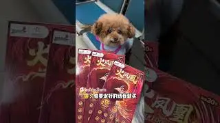 我是财神选中的小狗，刮彩票赚麻了