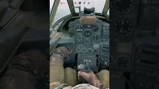 What Is This Shake - Enlisted Shorts