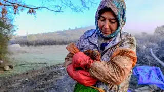 Animal Husbandry in Difficult Conditions | 