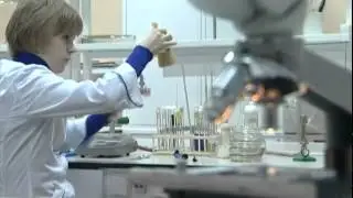 Вкус жизни  Салаты к празднику