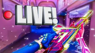 UNRANKED to IMMORTAL Speedrun | come hang out, ask me questions, and vibe!