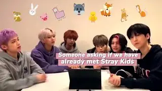 Stray Kids and Xdinary Heroes Interactions