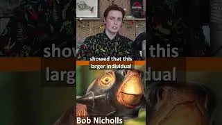 The saddest fossil that's ever been found