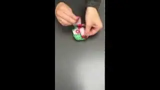 FRANCK & FISCHER - Pip bird wrist rattle