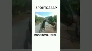 ARK MOBILE DUBSTEP