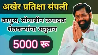 कापुस सोयाबीन उत्पादक शेतकऱ्यांना दिलासा| हेक्टरी 5000 रू अनुदान मिळणार| खरीप कापुस सोयाबीन अनुदान