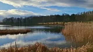 21/12/24 Bukowiec