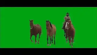 Green screen cowboy riding 💚 Green screen horse running video 💚 Horse running green screen video