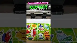 Экосольвентный принтер KAIJO 1601S #shortsyoutube #пленка #kaijo #баннер #наружнаяреклама #холст