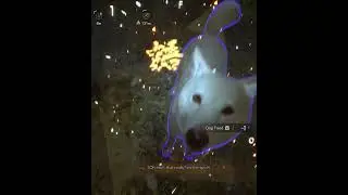 Petting a dog and reading its thoughts in Ghostwire: Tokyo