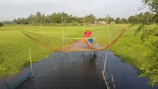 সকাল বেলার মাছ ধরার দৃশ্য, বেলকুচি, সিরাজগঞ্জ। Morning Fishing Scene, Belkuchi, Sirajganj.