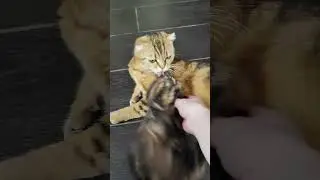 Ох, уж эта Маня😜 