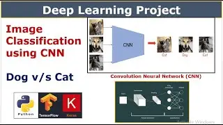 Image Classification using CNN | Deep Learning [Convolution Neural Network Project] #deeplearning