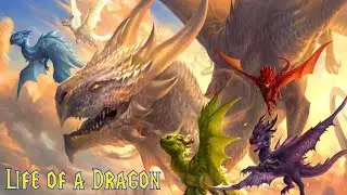 Life of a dragon - Жизнь Драконов - околоRPG карта про драконов