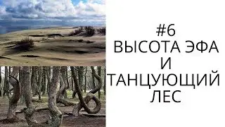 Куршская коса: Высота Эфа, Танцующий лес