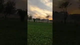 Beautiful village Evening #pindawale #nature #vlogs #love #villagelifestyle