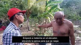 Zamná