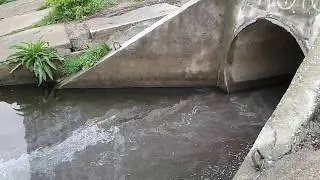 За добу кияни зафіксували три факти зливу хімії в Дніпро