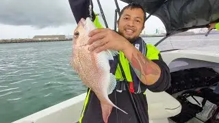 Spring Season New Zealand First Mission