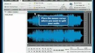 How to split audio file into separate tracks using AVS Audio Editor?