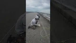рыбалка на паук подъёмник сазан один за другим