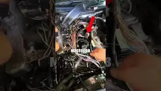 Due to stupidity, I lost $3,000 on car repairs 🚗💸🤦‍♂️