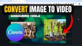 How To Convert Image To Video in Canva | Simple Step-by-Step Guide