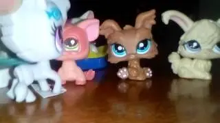 LPS: Шоу 
