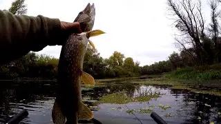 PIKE on 
